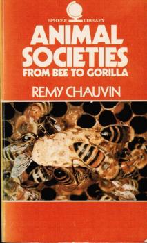 Animal Societies from Bee to Gorilla