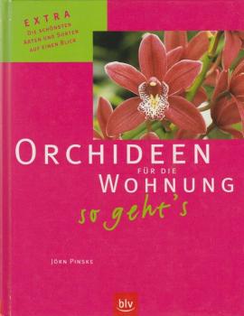 Orchideen für die Wohnung - so geht's : [Extra: Die schönsten Arten und Sorten auf einen Blick].