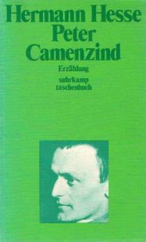 Peter Camenzind : Erzählung.