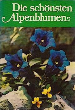 Die schönsten Alpenblumen.