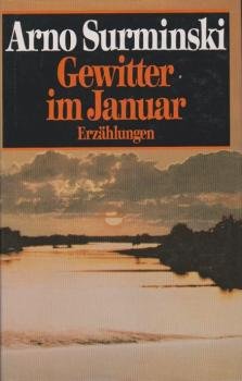 Gewitter im Januar : Erzählungen.