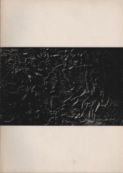 Ernst Wille : Verzeichnis der wichtigsten Bilder aus dem vorläufigen Ouevre-Katalog
