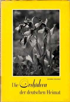 Die Orchideen der deutschen Heimat.