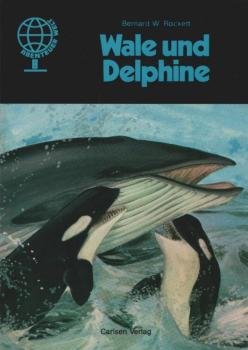 Wale und Delphine.