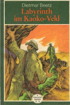 Labyrinth im Kaoko-Veld : Roman.