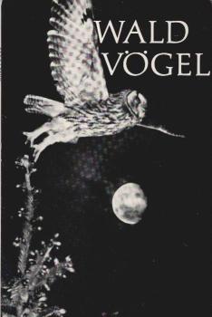Waldvögel.