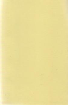 Die menschliche Intelligenz als Entwicklungsproblem.