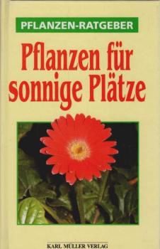 Pflanzen-Ratgeber : Pflanzen für sonnige Plätze