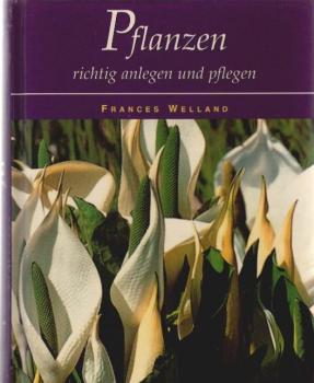 Pflanzen richtig anlegen und pflegen.