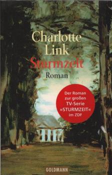 Sturmzeit : Roman.