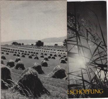 Lob der Schöpfung.