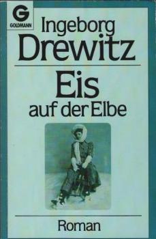 Eis auf der Elbe : Roman.