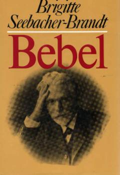 Bebel : Künder u. Kärrner im Kaiserreich.