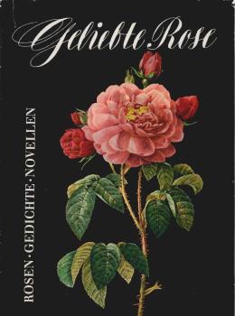 Geliebte Rose : Rosen, Gedichte u. Novellen.