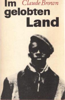 Im gelobten Land : Eine Jugend in Harlem.