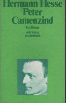 Peter Camenzind: Erzählung (suhrkamp taschenbuch)