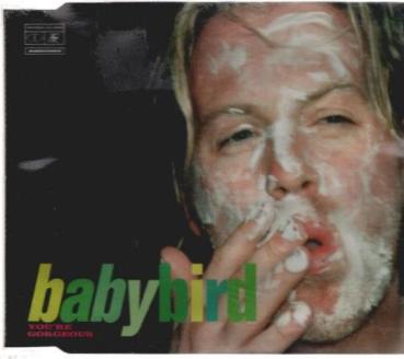 Babybird – You're Gorgeous [Audio CD]