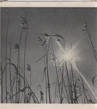 Der Sonnengesang.