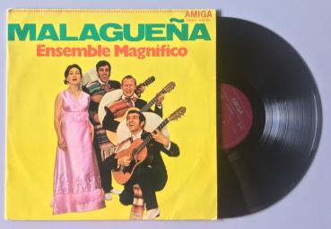 Ensemble Magnifico  [Vinyl, LP]