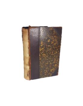 Maler Nolten : Roman. Erster Band