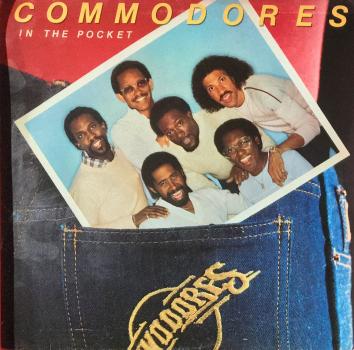 In The Pocket [Vinyl, LP]