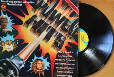 Power Hits Brandheiß [Vinyl]