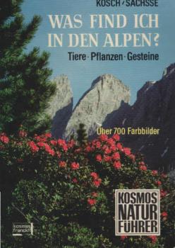 Was find ich in den Alpen? : Tiere, Pflanzen, Gesteine.