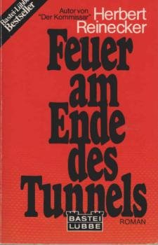 Feuer am Ende des Tunnels : Roman.