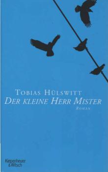 Der kleine Herr Mister : Roman.