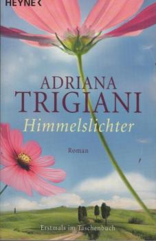 Himmelslichter : Roman.