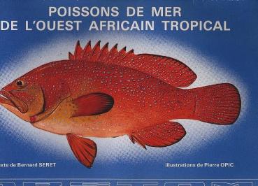 Poissons de mer de l'Ouest Africain tropical.