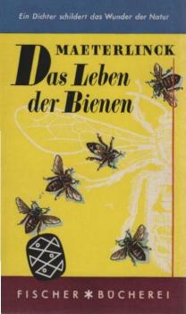 Das Leben der Bienen.