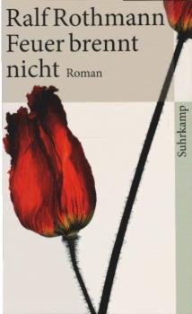 Feuer brennt nicht : Roman.