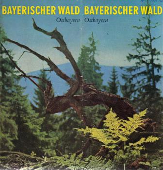 Bayerischer Wald. Ostbayern. [Faltprospekt]