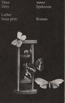 Lieber beau-père : Roman.