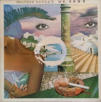 Mr. Gone [Vinyl, LP, Album]