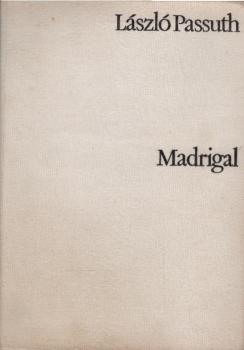 Madrigal : Roman um Carlo Gesualdo.