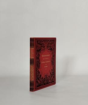 Erinnerungen aus meinem Berliner Amtsleben. 4. Band: "Erinnerungen aus dem Leben eines Landgeistlichen"