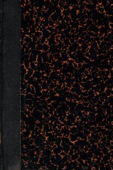 Wanderbuch eines Ingenieurs - in Briefen. Europa, Afrika und Asien.