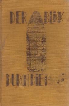 Der Blick durch die Lücke. Roman.