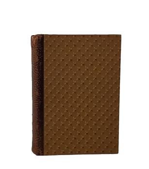 Ueber Berg und Tal; von der Donau zur Adria, vom Traunstein bis zum Mont Blanc