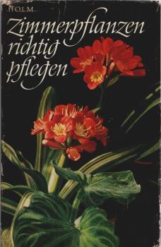 Zimmerpflanzen richtig pflegen