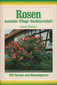 Rosen : Ausw., Pflege, Nachbarschaft.