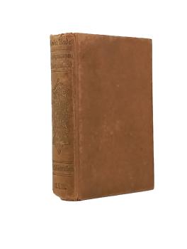 Morgensonne Morgenland : Schildereien.