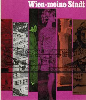 Wien-meine Stadt: Jungbürgerbuch 1969.