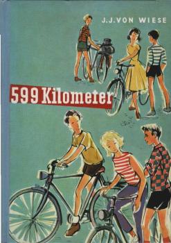 Fünfhundertneunundneunzig Kilometer : Die Geschichte e. Fahrt.