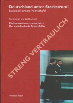 Deutschland unter Starkstrom : Kollabiert unsere Wirtschaft?.