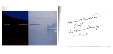 Heisskalt - Werner Knaupp, Gerhard Rießbeck : [Kunst-Galerie Fürth, 17. Januar bis 15. Februar 2004].