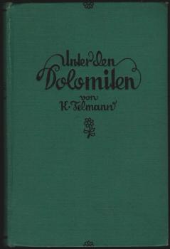 Unter den Dolomiten : Roman.
