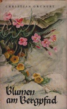 Blumen am Bergpfad.